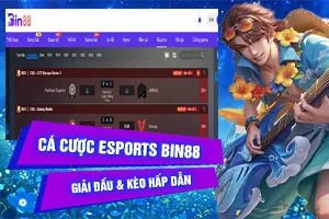 Bài viết về Cá Cược Esports Bin88