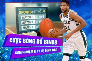 Bài viết về Cược Bóng Rổ Bin88