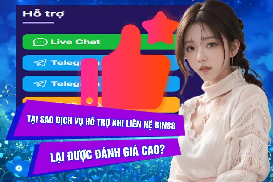 Lý do Dịch Vụ Hỗ Trợ Khi Liên Hệ Bin88 Lại Được Đánh Giá Cao