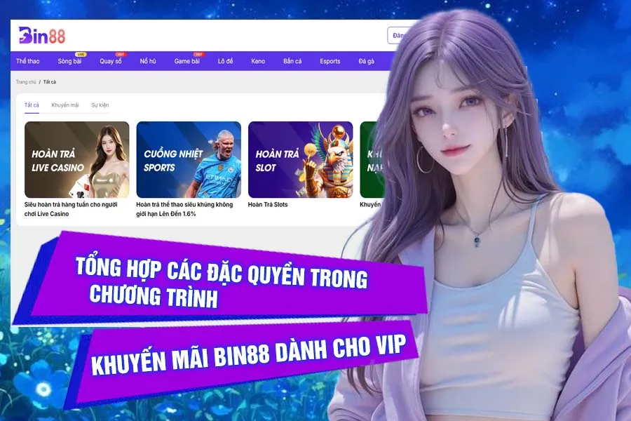 Tổng hợp các đặc quyền trong chương trình khuyến mãi Bin88 dành cho VIP